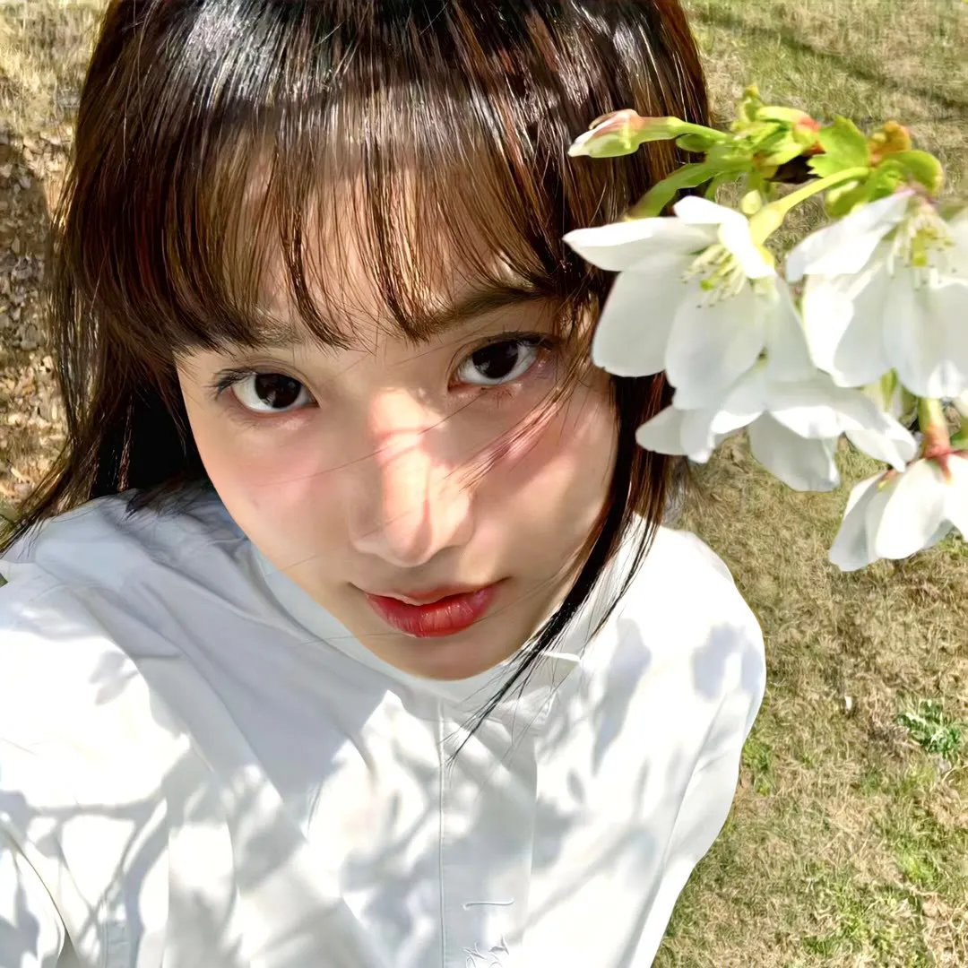 黑百合公寓