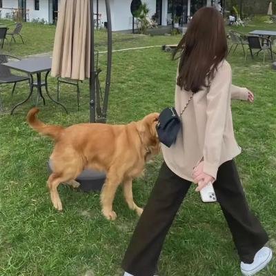非妈妈白书